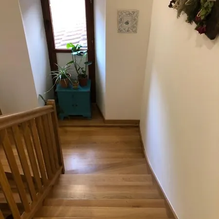 Maistraren Etxea Evi00179 *